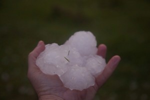 Giant Hailstones to 6cm in diameter 