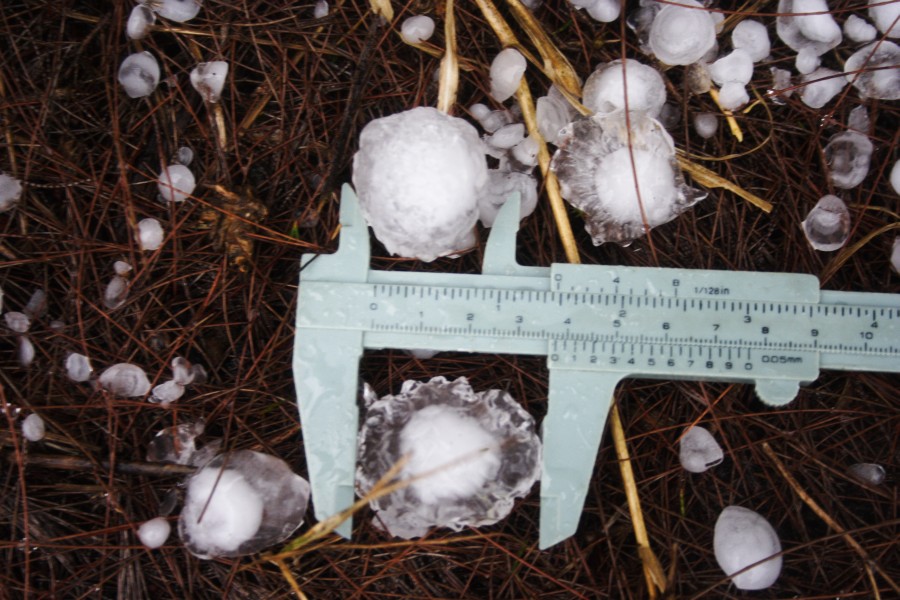 Hailstones measured with a caliper after the February 2009 storm at Dora Creek